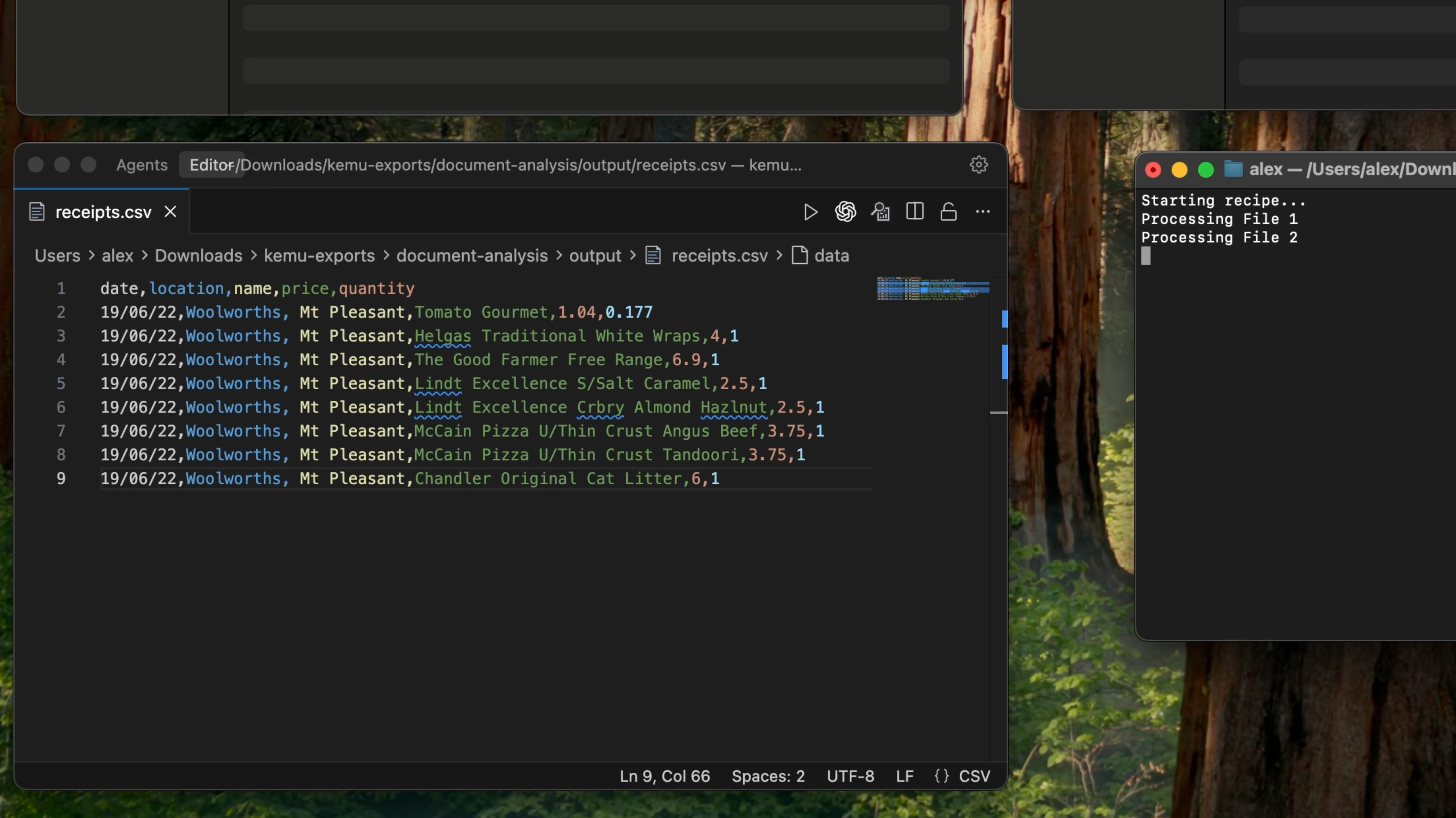Export & Run Anywhere